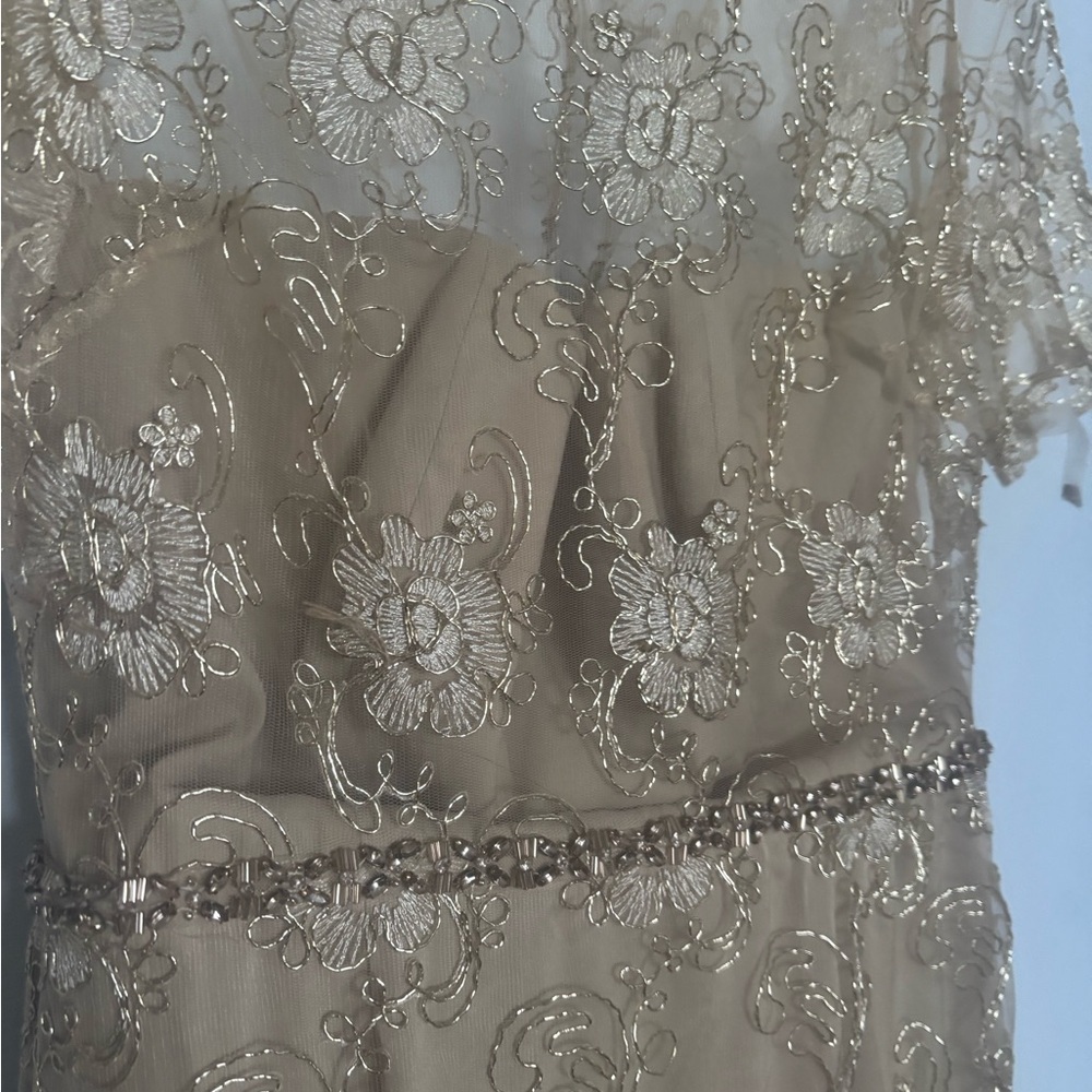 Badgley Mischka Gold  Embroidered Gown